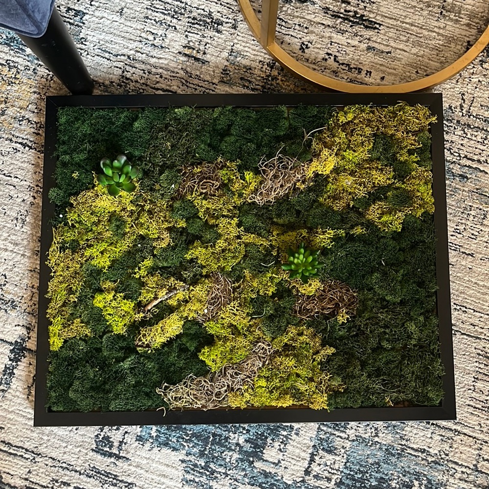 Faux moss picture